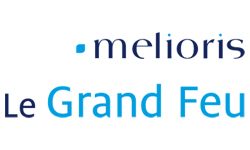 Le Grand Feu (Niort)